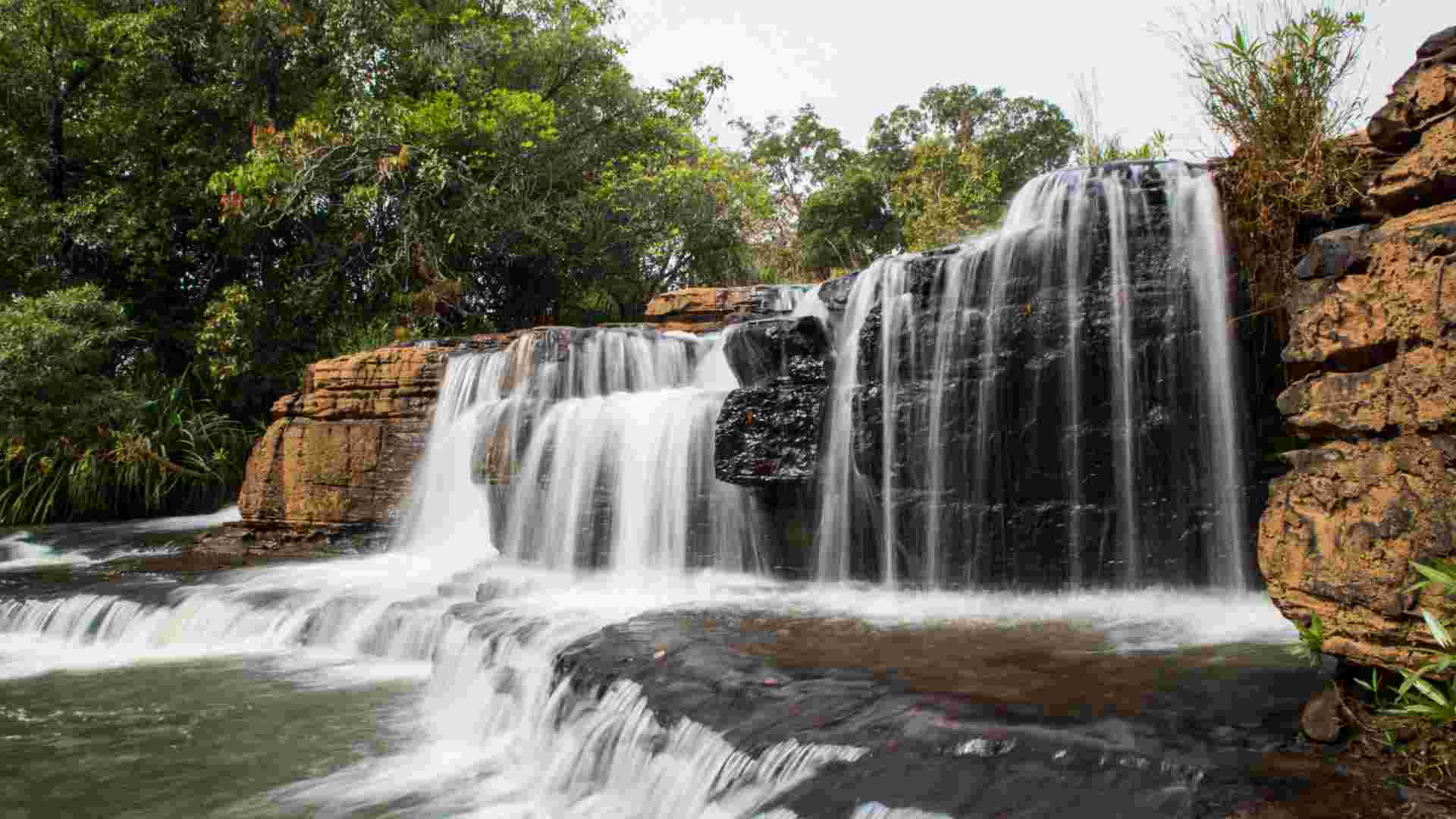 Wine tasting in vineyard